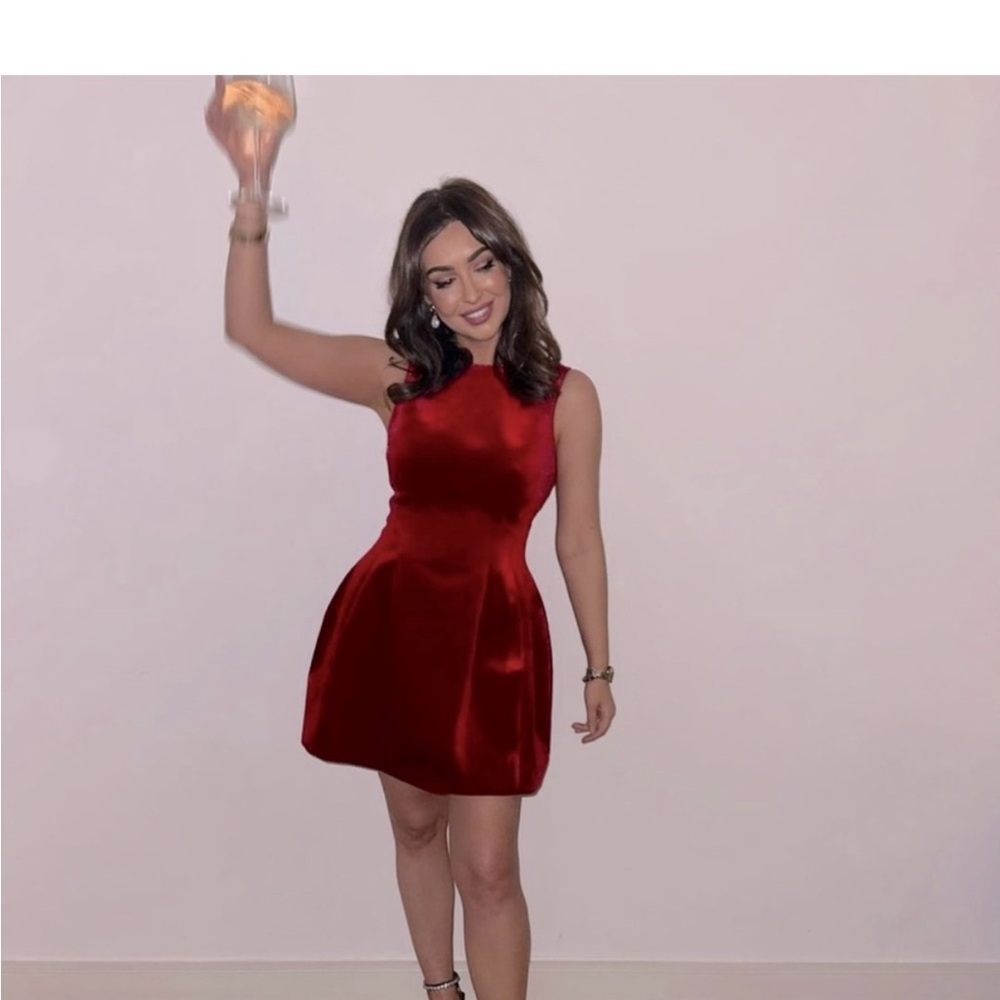 NWT Zara Vibrant Red Mini Dress